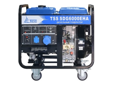 TSS SDG 6000EHA